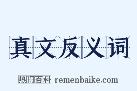 真文反义词是什么意思的图片